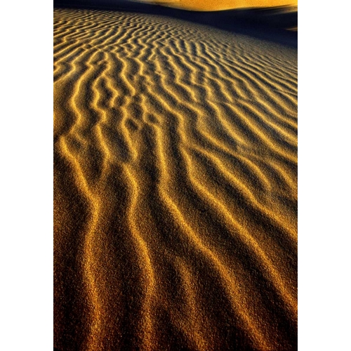 Oregon, Oregon Dunes NRA Dune pattern abstract